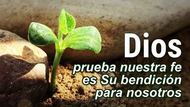Dios prueba nuestra fe es Su bendición para nosotros