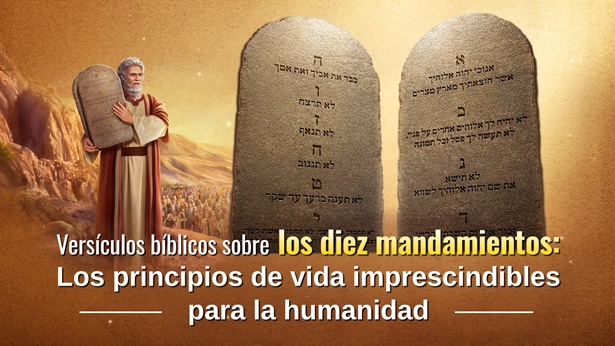 Versículos bíblicos sobre los diez mandamientos: Los principios de vida imprescindibles para la humanidad