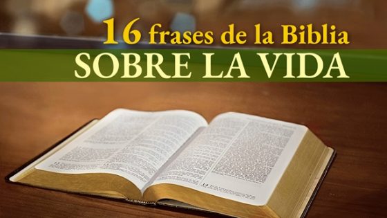 16 versículos de la Biblia sobre la vida
