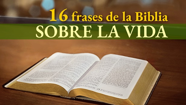 16 versículos de la Biblia sobre la vida