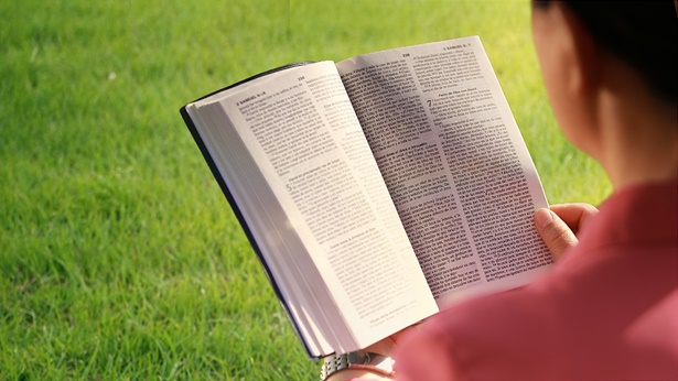 8 versículos bíblicos sobre la sabiduría