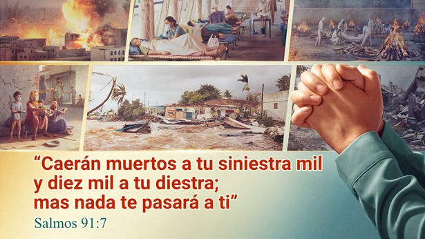 Comentario sobre el Salmo 91: 7 de la Biblia católica - Dios es nuestro apoyo en los desastres