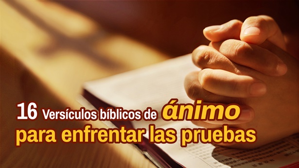 16 versículos bíblicos de ánimo para enfrentar las pruebas